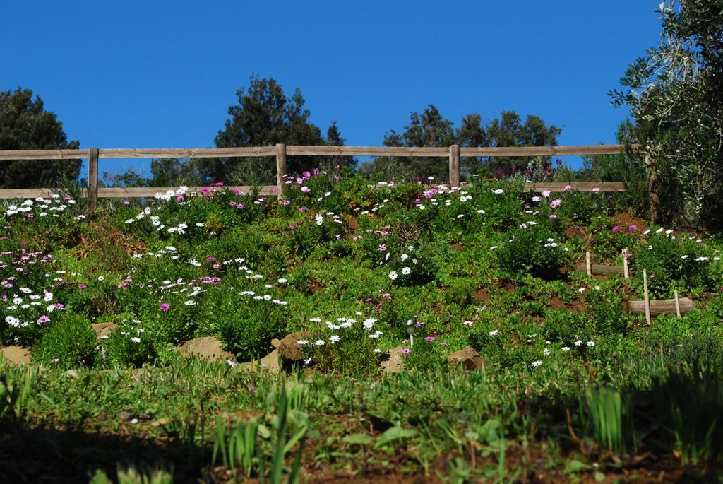 Agriturismo Val Di Nappo Castiglione della Pescaia Eksteriør bilde