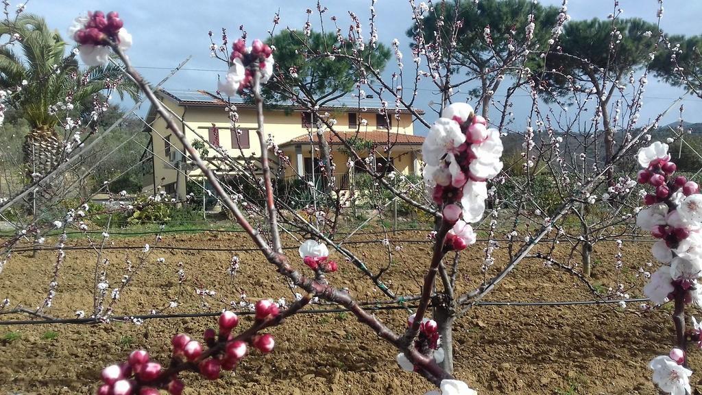 Agriturismo Val Di Nappo Castiglione della Pescaia Eksteriør bilde